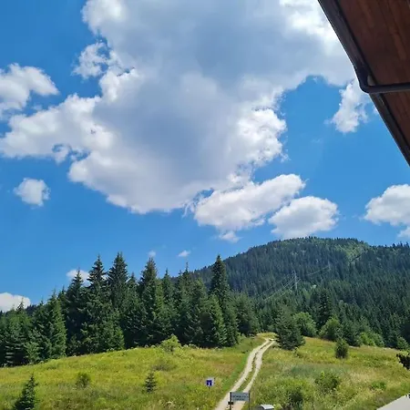 Panorama Mountain, пампорово - * Stoykite