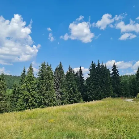 Panorama Mountain, пампорово - Lejlighed Stoykite